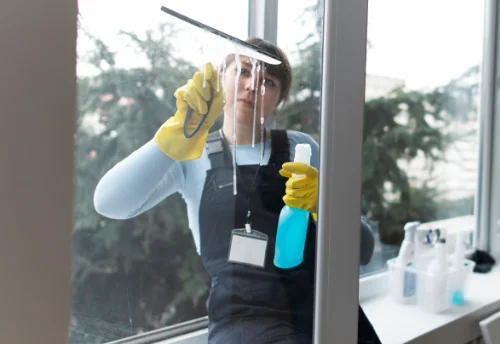 Nettoyage de vitres intérieures et extérieures à Beaumont-Louestault